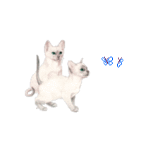 ColaKitty92's avatar